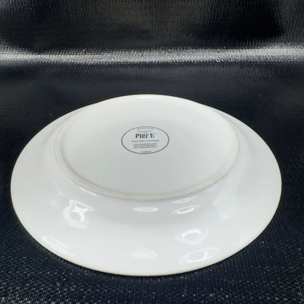 PIER 1 Winter Wonders Ironstone Plate Dish Set 4 Snowman Penguin Christmas 9inch